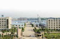 ONE游戏官网,油茶种植出产加工销售,植物油种植出产加工销售