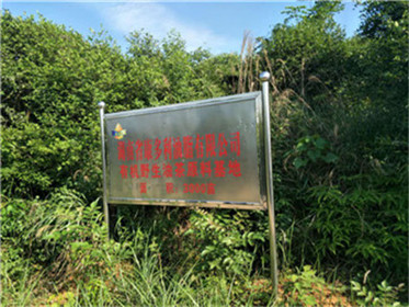 ONE游戏官网,油茶种植出产加工销售,植物油种植出产加工销售