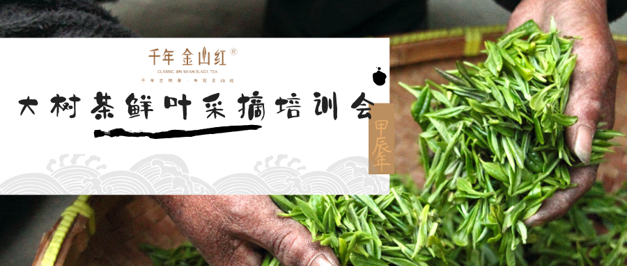 中国·88858cc永利(股份)有限公司-官方网站
